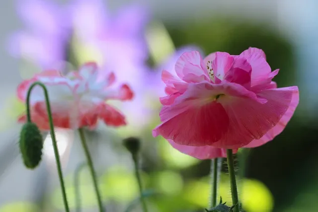 m10-solutions Lösungen